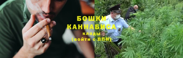 прущие грибы Арсеньев