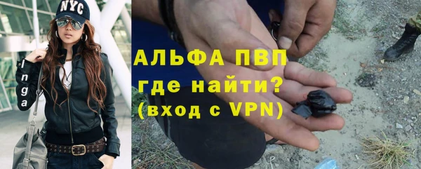 прущие грибы Арсеньев