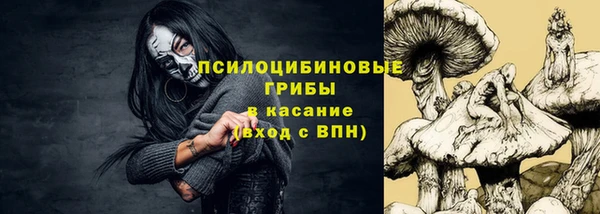 герыч Ступино