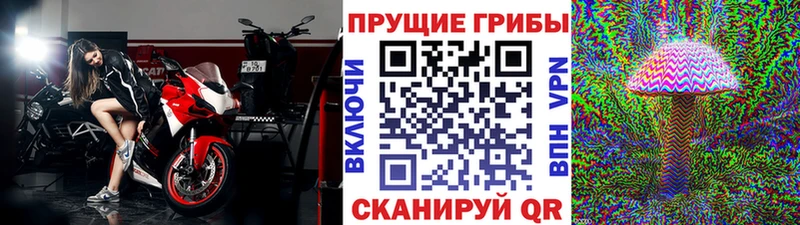 купить закладку  Бежецк  Галлюциногенные грибы MAGIC MUSHROOMS 